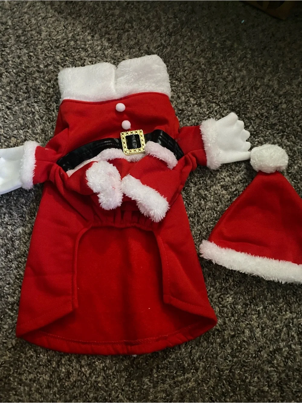 Puppy Red Santa Costume with Hat